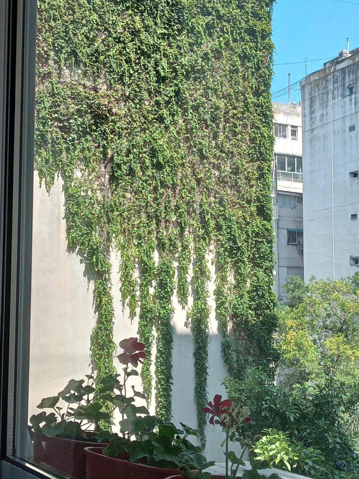 Tu Lugar En Recoleta, Amplio Monoambiente Con Bano Completo Y Cocina Aparte Apartment *